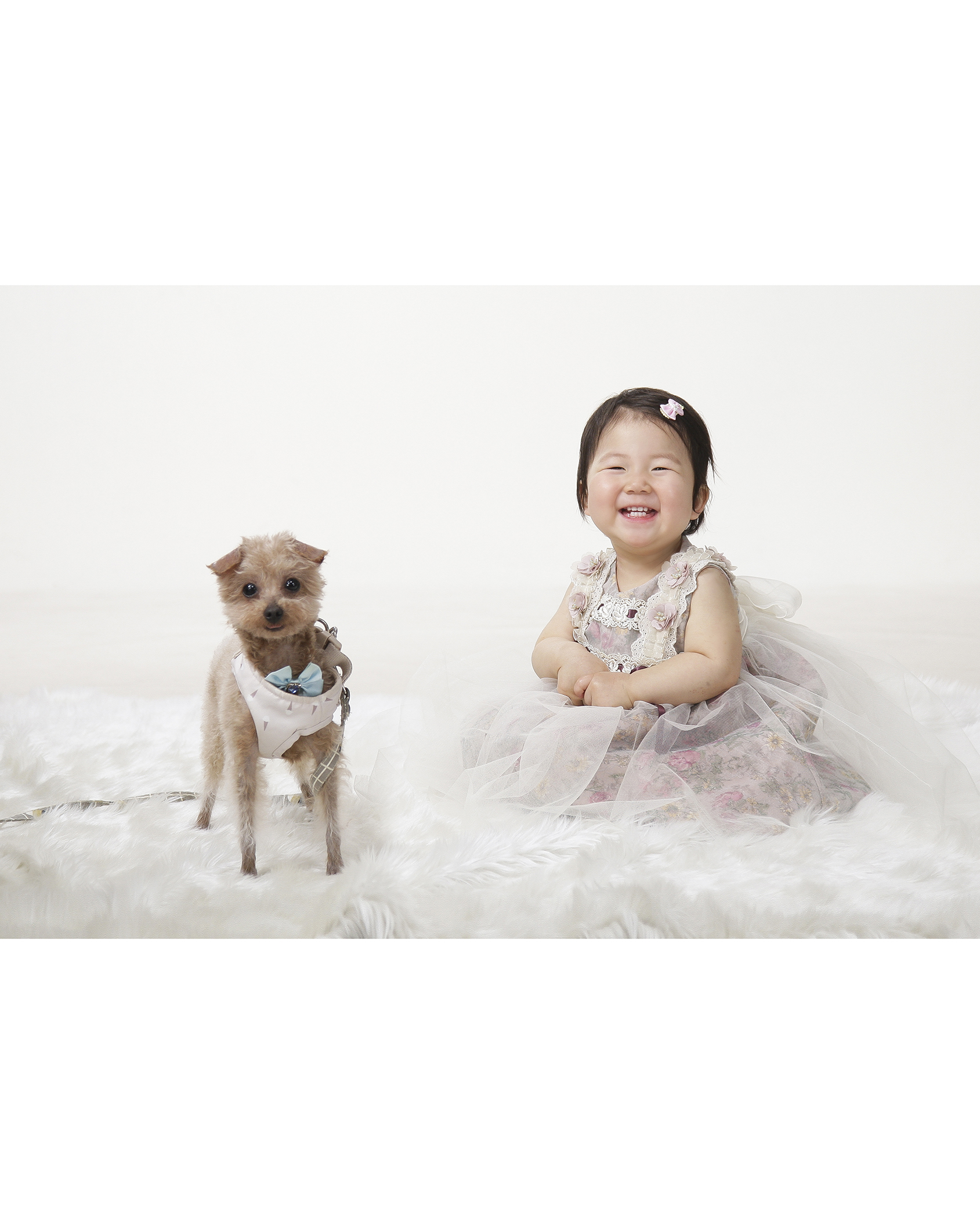 9m9x1210-2 9m9x1210-2